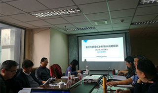 問診專家，繪制龍鄉銅梁鄉村振興新藍圖