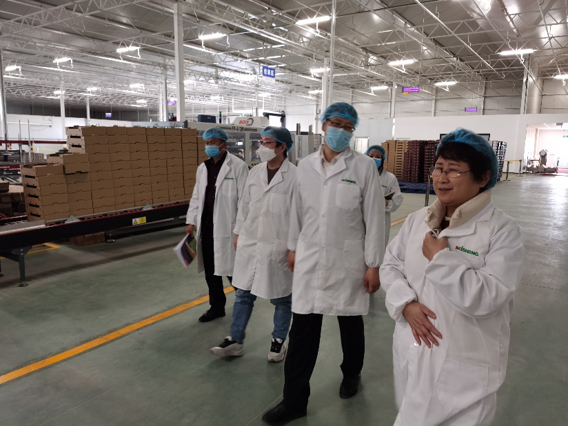 依托非耕地高效設施農業，民樂縣著力打造特色戈壁農業國家現代農業產業園