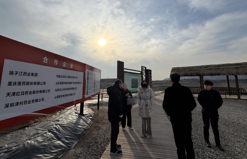 大盈之地，寶藏內丘—我院專家組走進太行山 酸棗之鄉調研