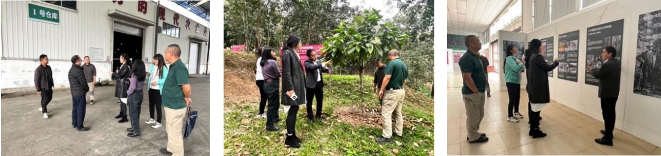 我院團隊走入“中國天然橡膠第一縣”，與勐臘共赴國家現代農業產業園建設之路